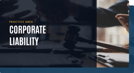 Corporate Liability img