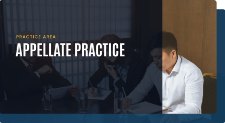 appelate practice